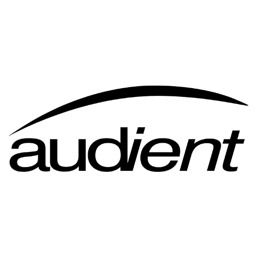 AUDIENT