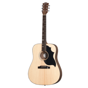 GTR ACOUSTIQUE MCSSGHAN GIBSON G-BIRD NATUREL GC