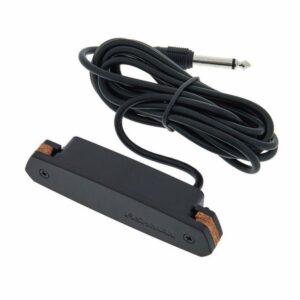MICRO GTR ACOUSTIQUE NEOD02 FISHMAN DOUBLE BOBINAGE