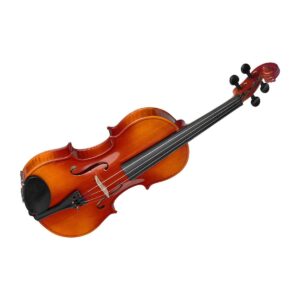 VIOLON 4/4 STANDARD VN-4/4 STAGG ERABLE + SOFTCASE