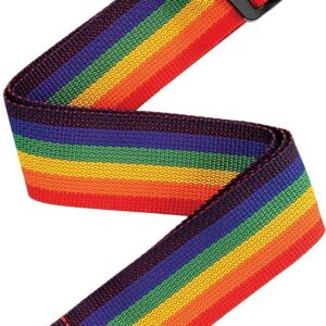 SANGLE PWSAL411 DADDARIO AUTO LOCK POLYPROPYLENE ARC-EN-CIEL