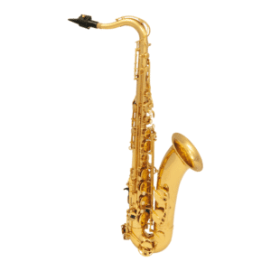 SAXO ALTO LAITON VERNI A300 SML PARIS