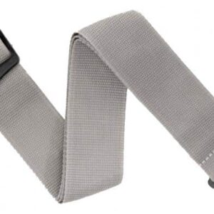 SANGLE PWSAL405 DADDARIO AUTO LOCK POLYPROPYLENE ARGENT