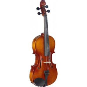 VIOLON 3/4 ERABLE MASSIF + ETUI SEMI-RIGIDE VN-3/4 STAGG