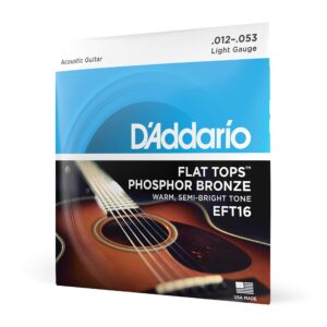 JC FOLK EFT16 D&rsquo;ADDARIO Light 12-53 Phosphor Bronze Flat Tops