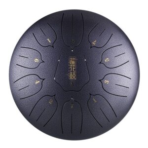 HANDPAN THL11-10METEORITE LOTUS HLURU 11 NOTES 10&Prime; METEORITE ACIER AU CARBONE