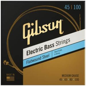 JC GIBSON BASSE ELECTRIQUE MEDIUM 45-100 SBG-FWLS12